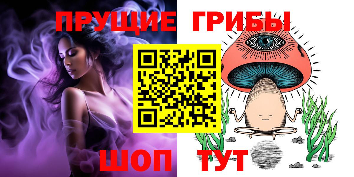 Галлюциногенные грибы Psilocybe Мценск