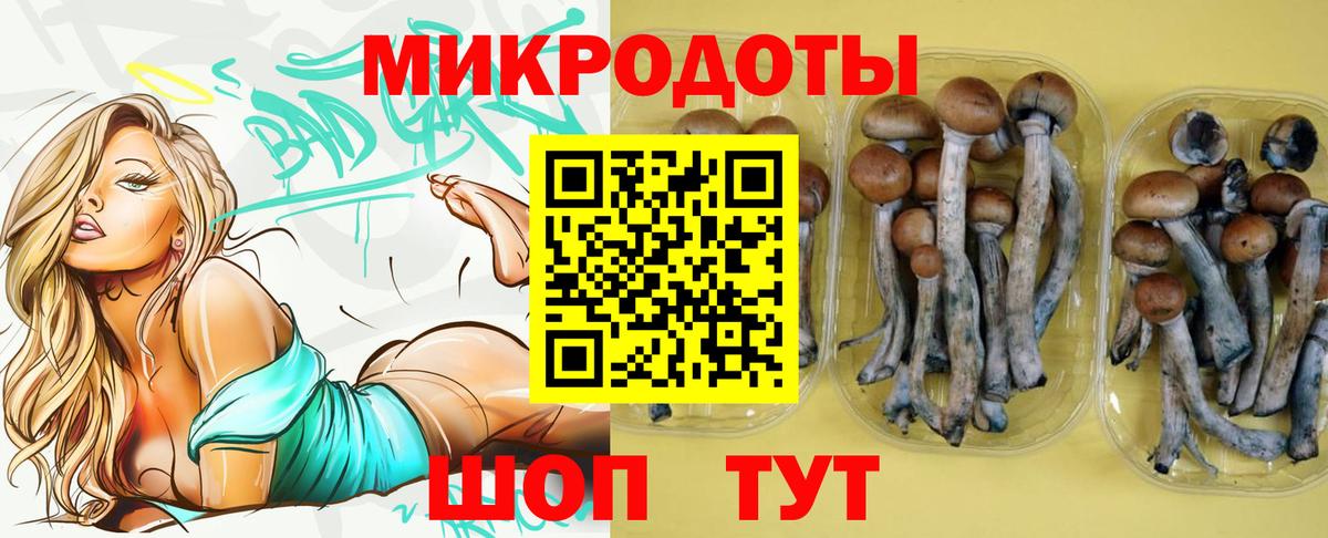 Галлюциногенные грибы ЛСД  Псилоцибиновые грибы Magic Shrooms  Мценск  купить наркотик  Вход с VPN 